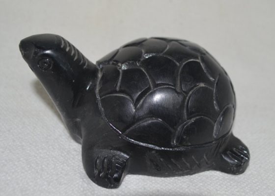 black-tortoise-feng-shui