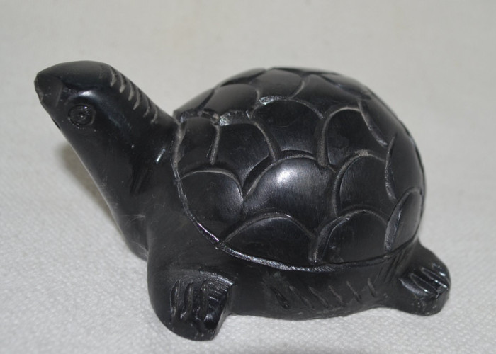 black-tortoise-feng-shui