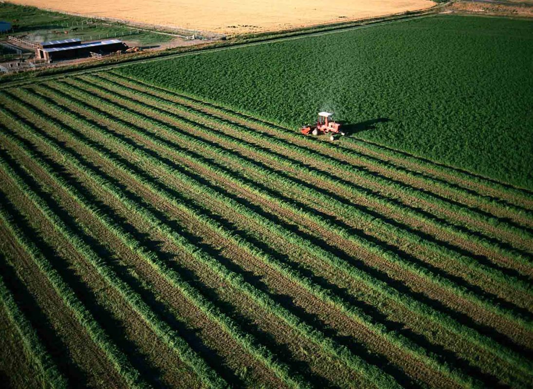 कृषि भूमि का वास्तु विचार