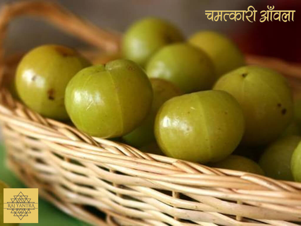 चमत्कारी आँवला